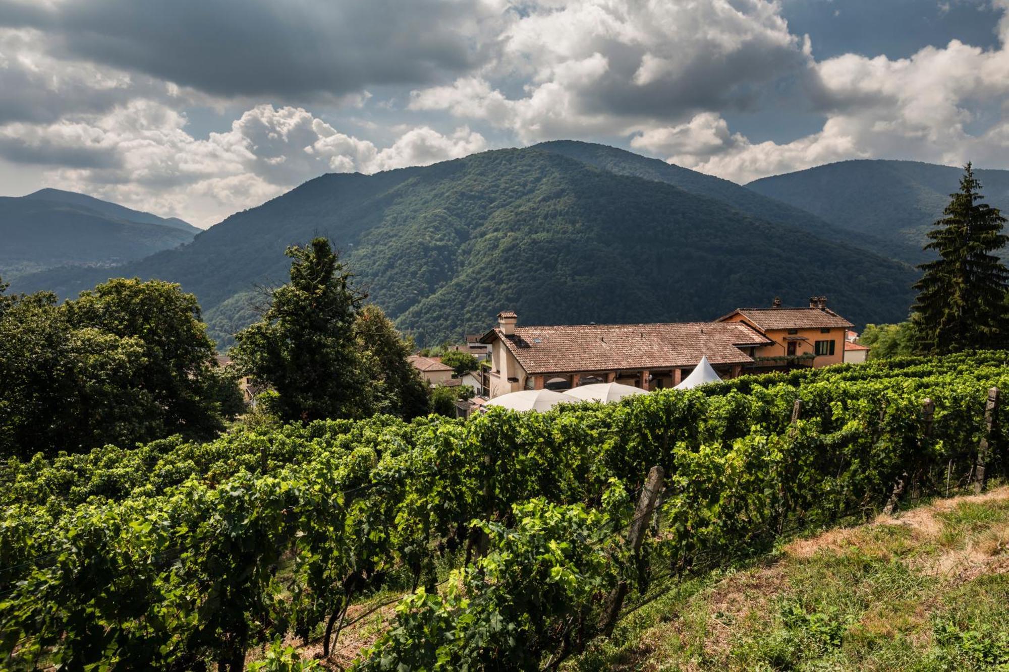 Wine & Art Relais Vallombrosa Castelrotto Kültér fotó