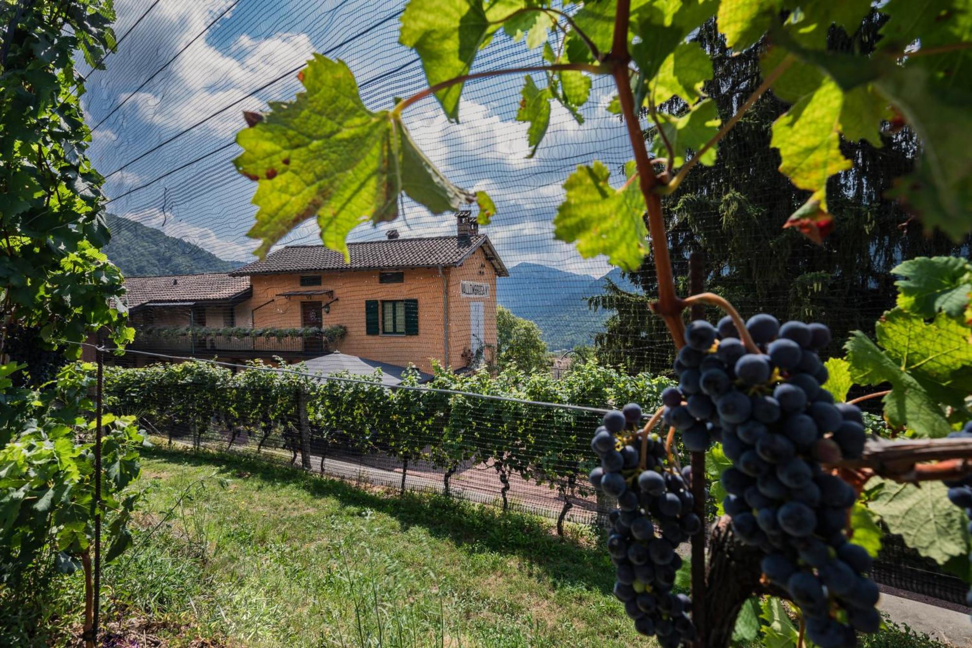Wine & Art Relais Vallombrosa Castelrotto Kültér fotó