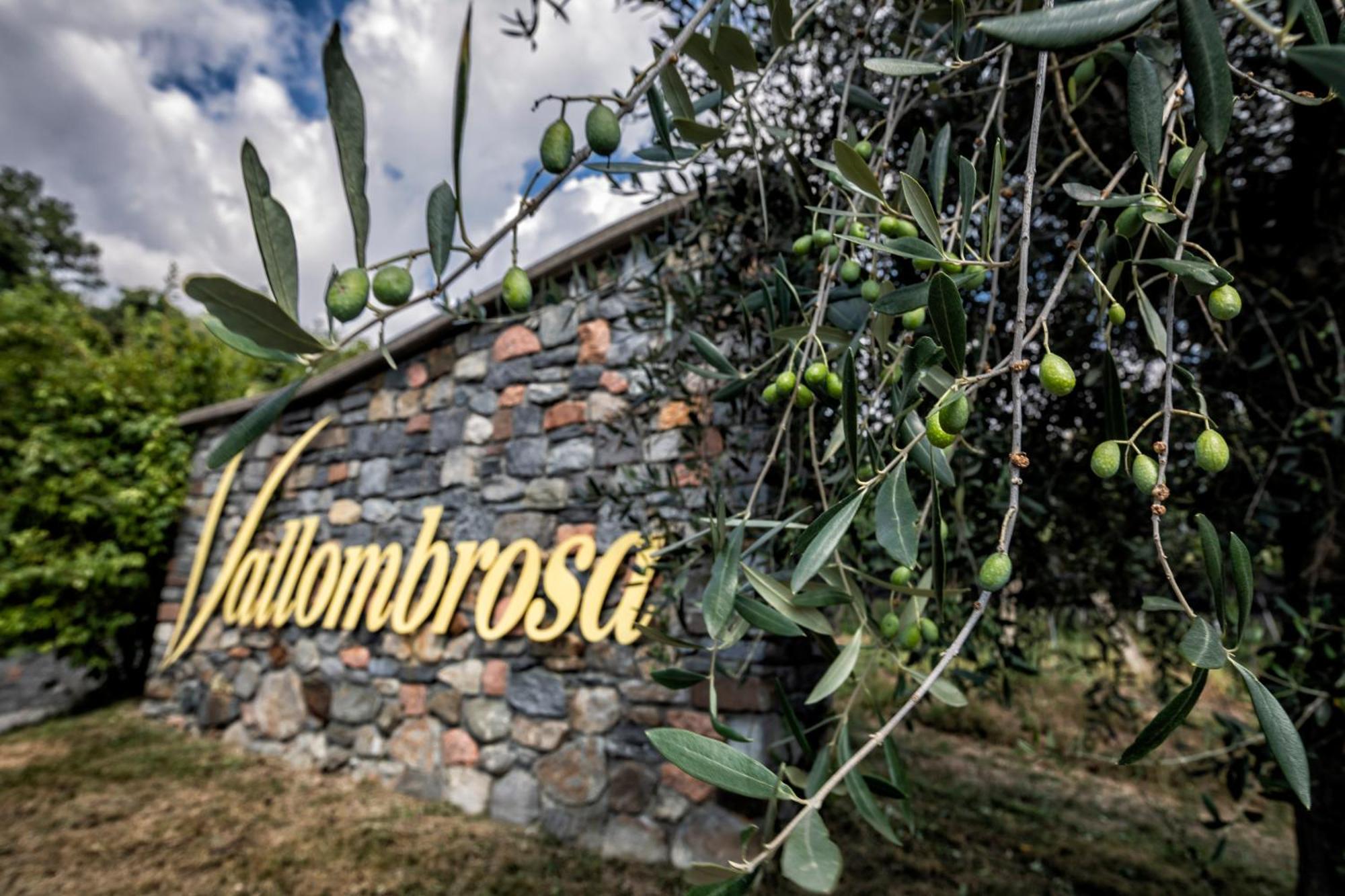 Wine & Art Relais Vallombrosa Castelrotto Kültér fotó